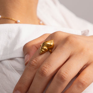 ANILLO CARACOL