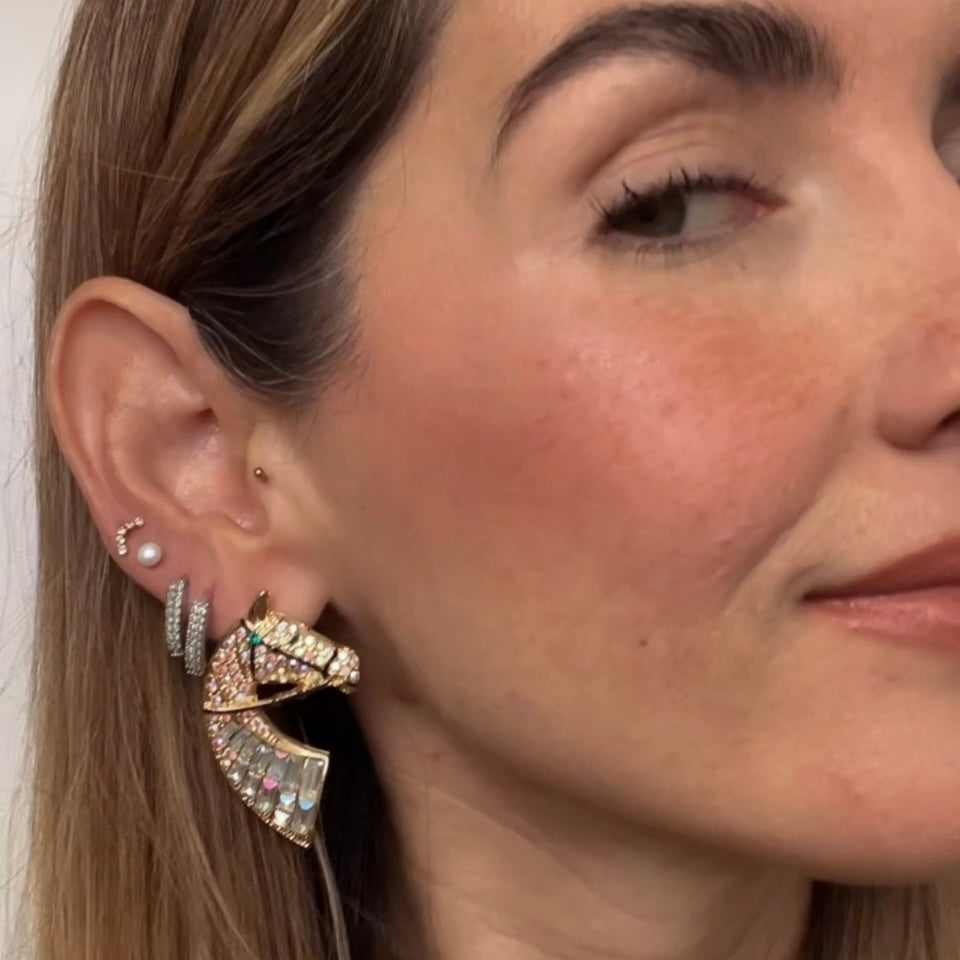 ARETES CABALLO