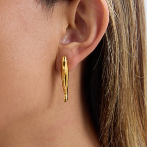 ARETES PESCADO