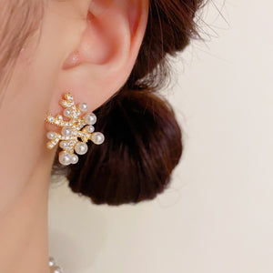 ARETES CORAL