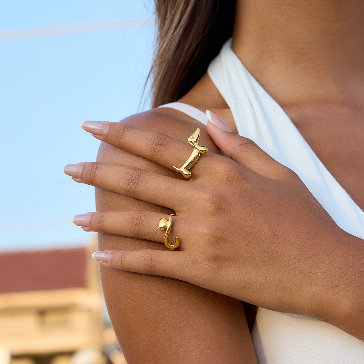 ANILLOS GATO Y PERRITO