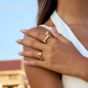 ANILLOS GATO Y PERRITO