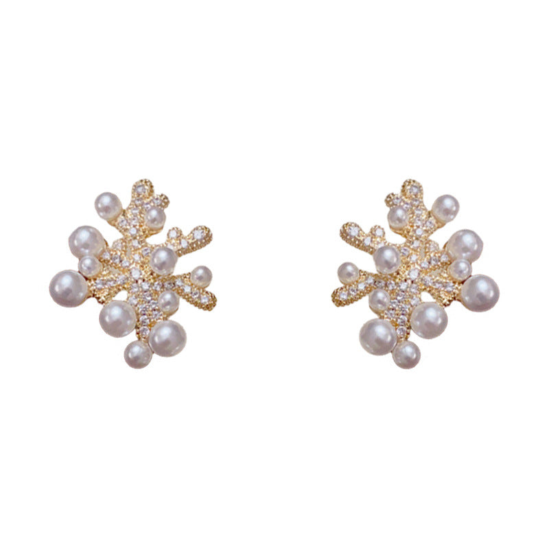 ARETES CORAL