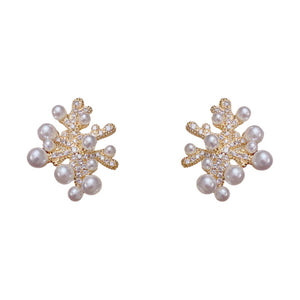 ARETES CORAL