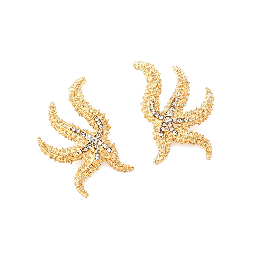 ARETES ESTRELLA DE MAR